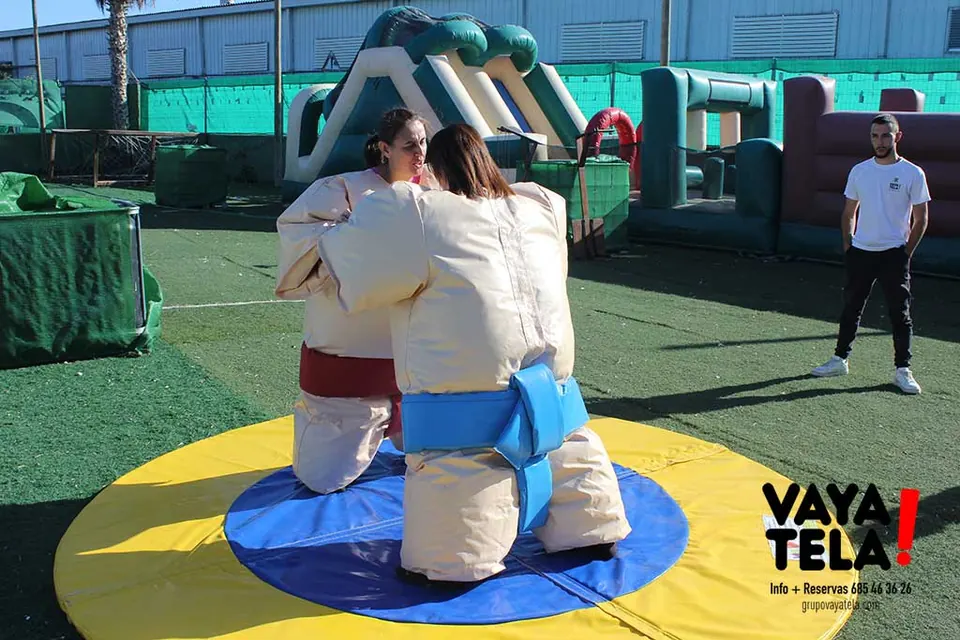 Lucha de sumos en Gandia: foto 1