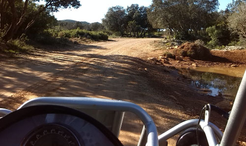 Despedidas en Gandia